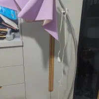 آباژور ایستاده