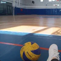 گروه والیبال