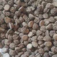 قروت و کره گاو
