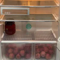 یخچال فریزر LG