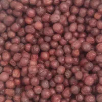 اناب|خوردنی و آشامیدنی|خوسف, |دیوار