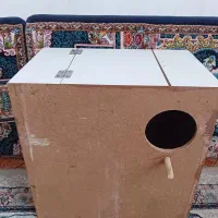 لانه پرنده بزرگ برای گرینچیک ملنگو راهب خورشیدی و.