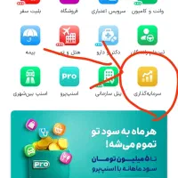 سرمایه گزاری