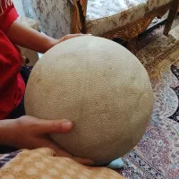 توپ بسکتبال