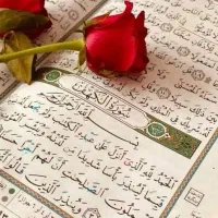 قرات قرآن به نیت اموات