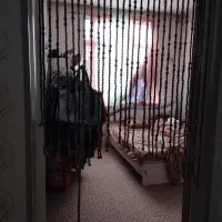 اجاره|اجارهٔ آپارتمان|کنگاور, |دیوار