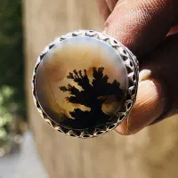 انگشتر شجر