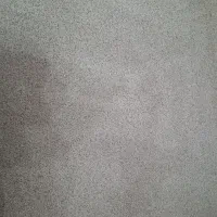 موکت پالاز