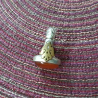 انگشتر نقره