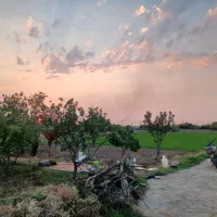 پلاک های ۲۰۰ متری / نزدیک به جاده سراسری