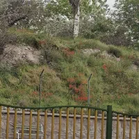 معاوضه سورن پلاس۴۰۱EF7