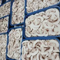 قارچ اسلایس و فله