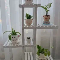 استند گل