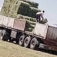 بارگیری و خرید پرس یونجه