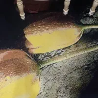 فرش فانتزی ۳بعدی