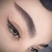 پذیرش مدل و آموزش میکرو کُرکی و شیدلب و‌ ریمو