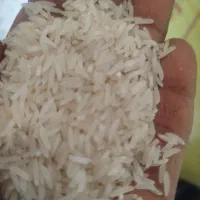برنج خوش پخت فجر
