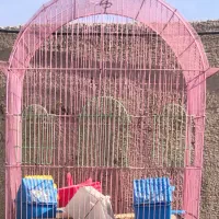 قفس پرنده