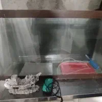 آکواریوم