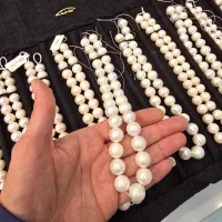 مروارید گردنی