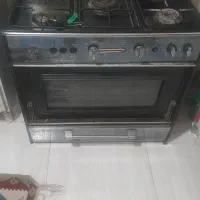 گاز فردار با دوتا جوجه گردان سالم