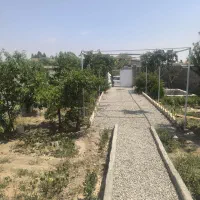 فروش-زمین-باغ-باغچه-875-متری-سند-تک-برگ