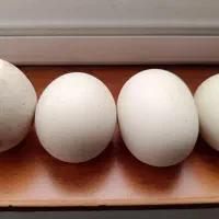 سنگ قیمتی با تمرکز بر سنگ سمت چپ