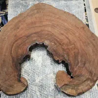 برش کالباسی چوب زیبای چنار برای کار هنری
