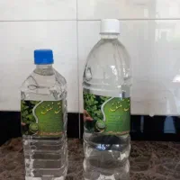 عرق نعنا، پنیرک،یدنجه