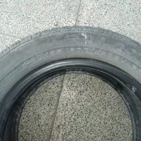 لاستیک ساینا رینگ 14