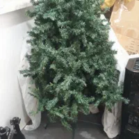 درخت کریس مس