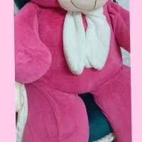 خرس بزرگ