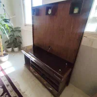 زیر تلویزیونی