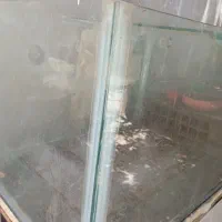 اکواریوم