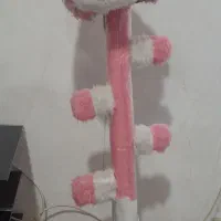 شب خواب