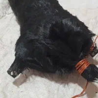 خیگ تمیز