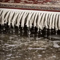 قالیشویی و مبلشویی ویژه کلیه مناطق شرق تهران