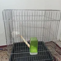 قفس پرنده