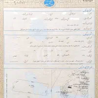 زمین شهرک حامدی میناب سند تک برگ