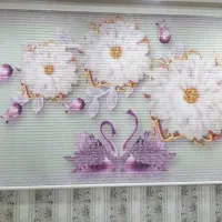 پرده های چاپی تک و دومکانیره، شید وپانچ