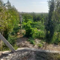 باغ-ویلا-چسب-بافت-شهری