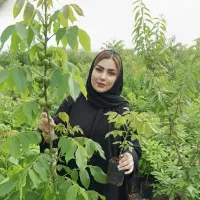 گردوپیوندی و نهال بادوم مقاوم به سرما