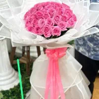 رز ممتاز به قیمت عمده