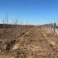 لوکیشن-زیبا-با-بهترین-اب-و-هوا