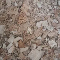 نان خشک