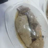 عسل 100درصد طبیعی