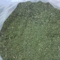 برگ شوید