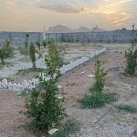 باغ 445متری دیوار کشی با درخت اب قطره لوله کشی