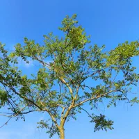 فقط مکالمه زبان انگلیسی