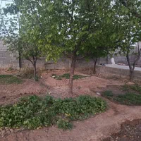 فروش باغ دیوار کشی نیمرو محمودی